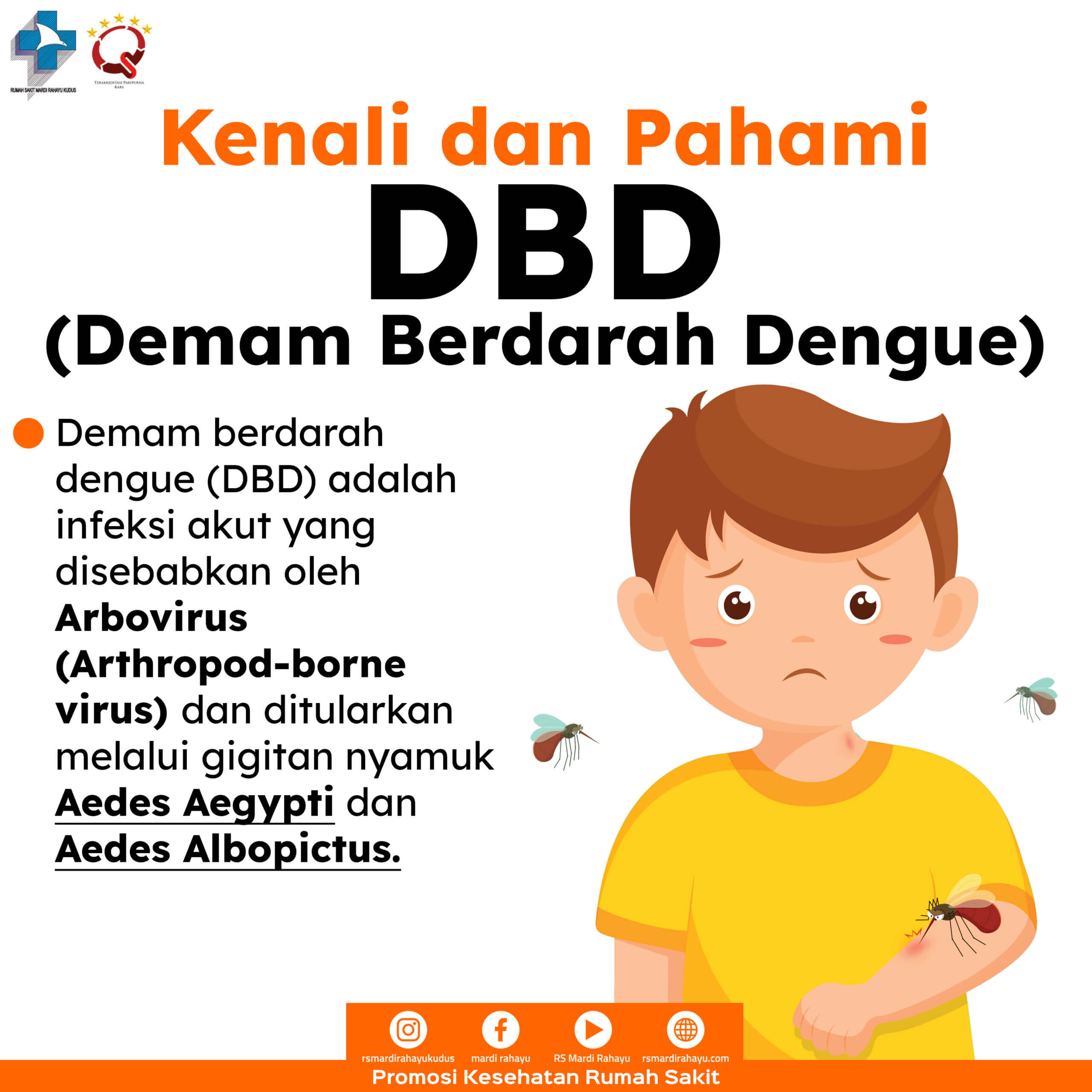 APA ITU DBD